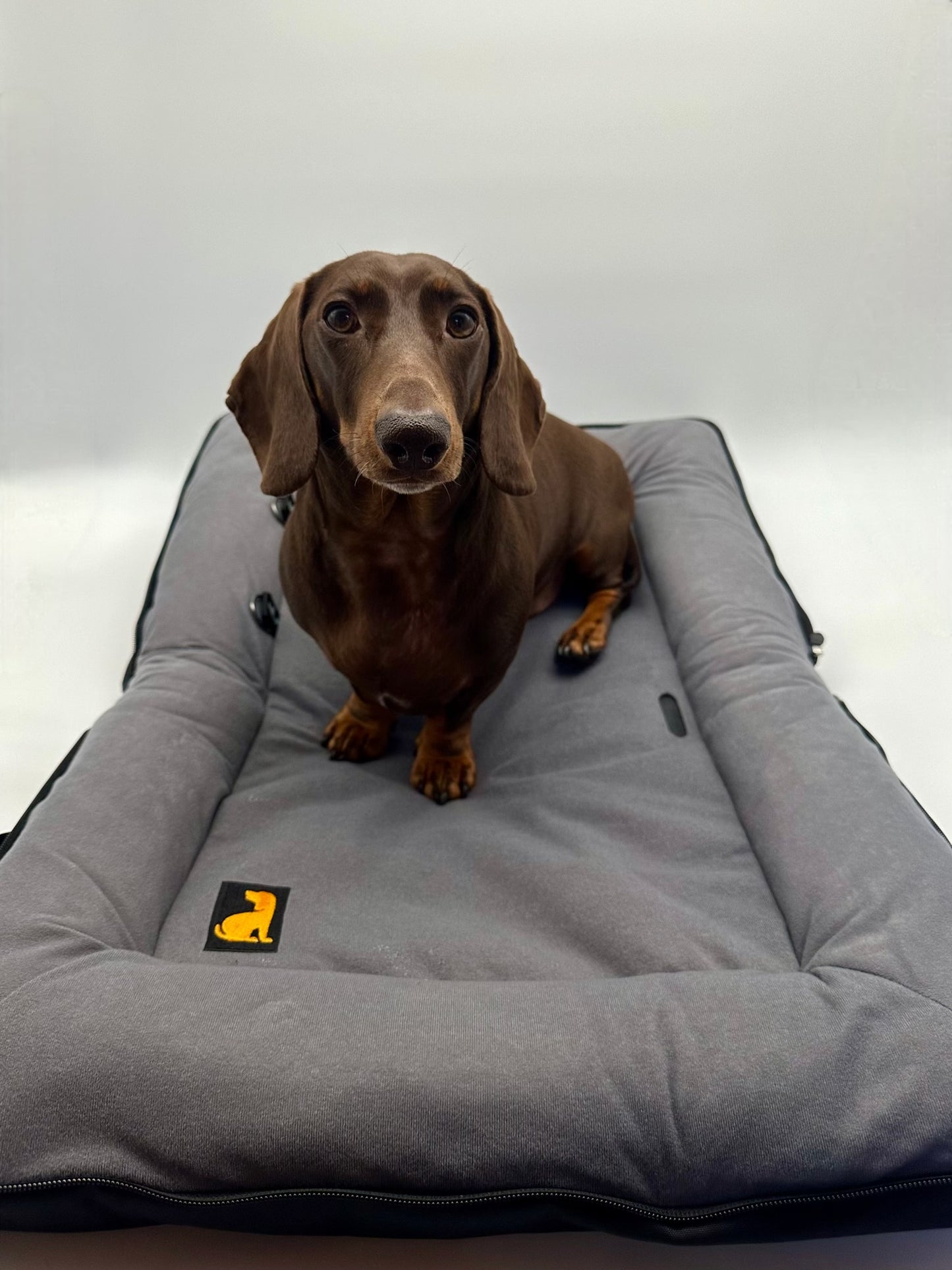 BarkPack Dog Travel Bed