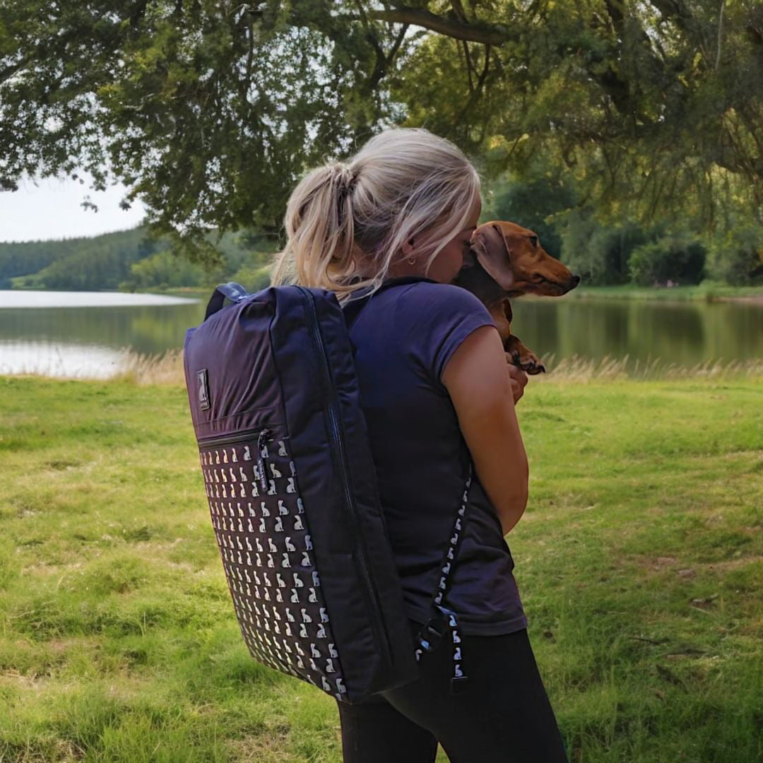 BarkPack Dog Travel Bed