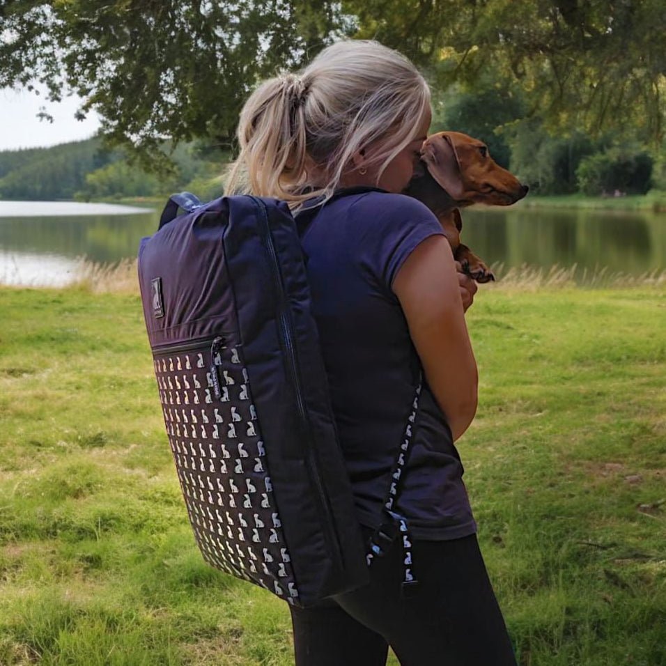 BarkPack Dog Travel Bed transformation from backpack to bed demonstration