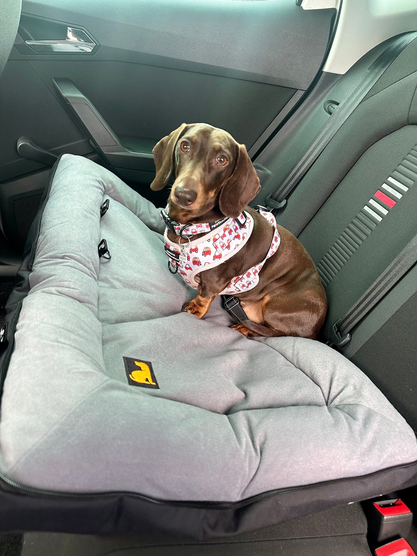 BarkPack Dog Travel Bed, In Car 