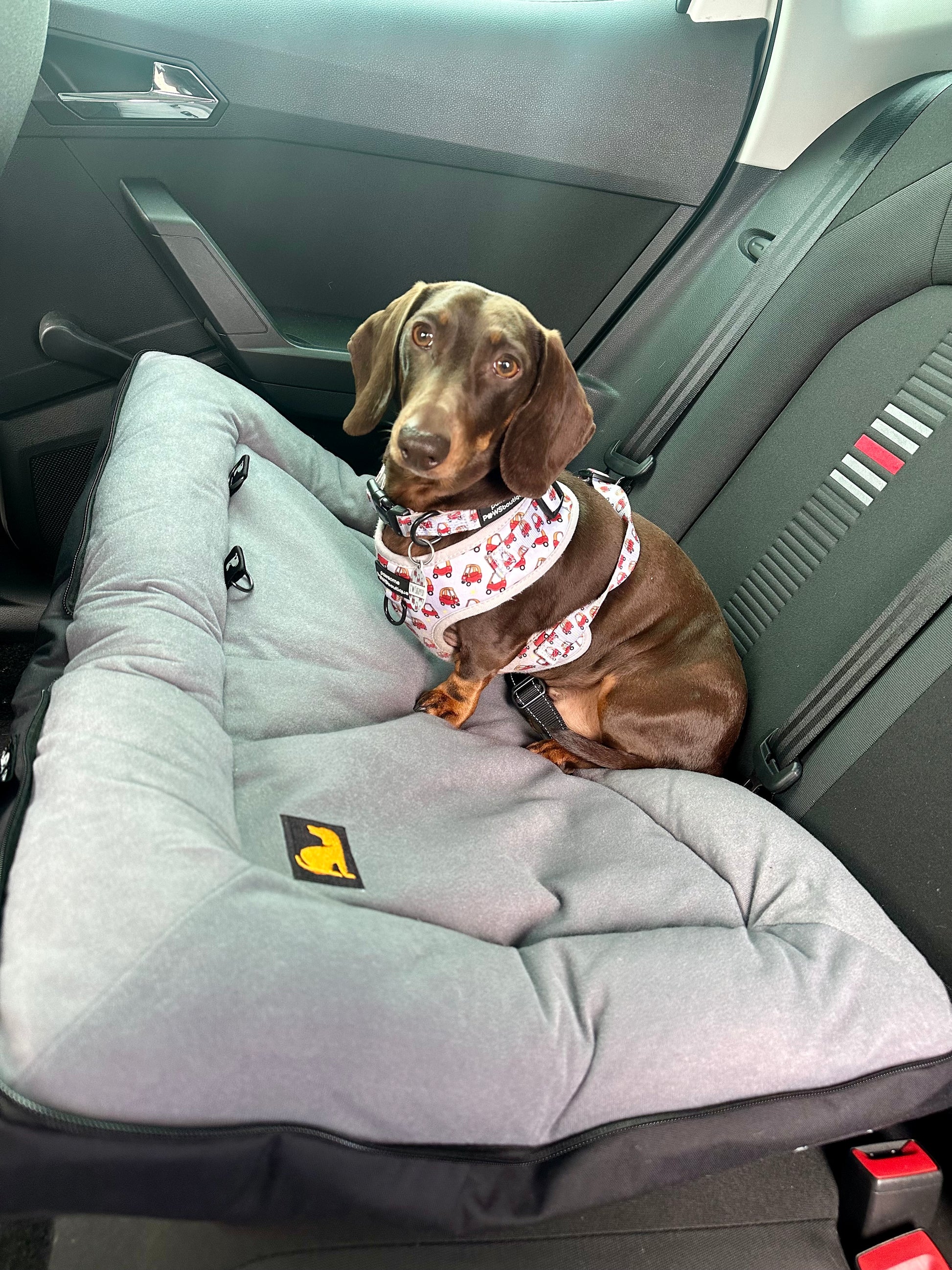 BarkPack Dog Travel Bed, In Car 